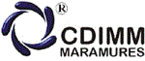 logo Fundatia Centrul Pentru Dezvoltarea Intreprinerilor Mici si Mijlocii Maramures